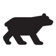 black bear profile