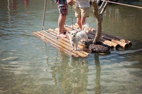 People and dog on the raft