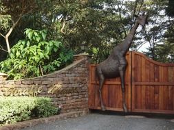 bronze giraffe figure at the gates of the reserve in Africa