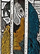 Parrot Digital Art drawing