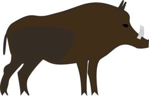 brown boar silhouette on a white background