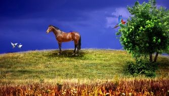 Horse and Bird drawing