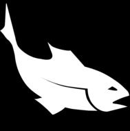 Sea Fish white drawing
