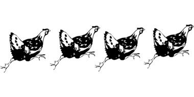 drawing of running hens birds