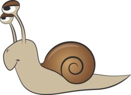 Picture of slowly snail