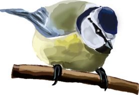 watercolor drawing of a sparrow on a branch