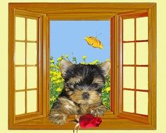 portrait of a little dog