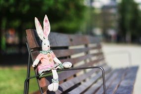 toy rabbit on a bench in the park