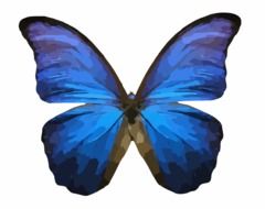 graphic image of a bright blue butterfly