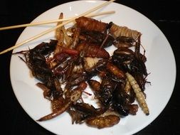 Thai Insect Plate