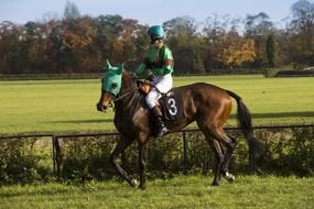 riding horsewoman