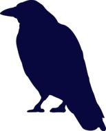 silhouette of a crow drawing