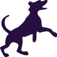 silhouette of a jumping dog