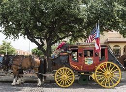 horses are harnessed to a carriage in Texas