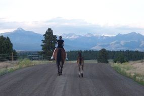 landscape of rider on a horse next to a foal and mountains