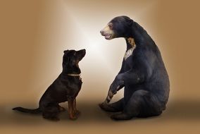 photo of animals as a photo montage