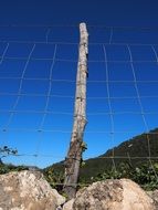 wildlife barrier at beautiful gradient blue sky background