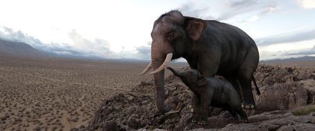 little elephant with his mom in Africa