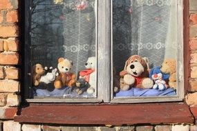 soft toys on the window