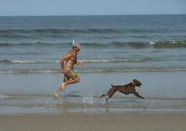race on a beach with a dog