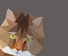 low poly cat head drawing