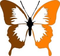 Brown and orange butterfly clipart