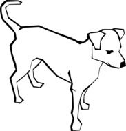 painted dog on white background
