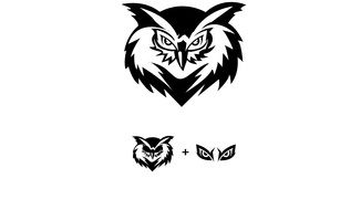 Owl Bird drawing
