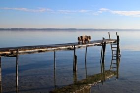 pier on a Water in Chiemsee