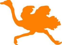 orange silhouette of a running ostrich