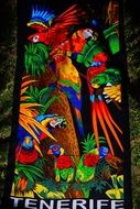 colorful Towel with exotic parrots