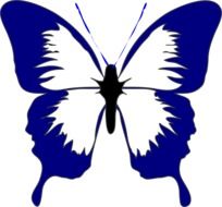 Picture of black and blue Butterfly