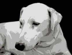 Computer image of the dog