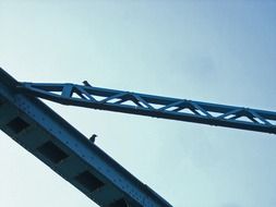 birds sit on a metal structure