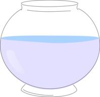 Round Glass Bowl with Water on white background