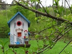 color birdhouse
