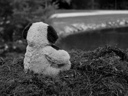 Black and white photo of the Teddy Bear