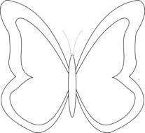 outline of a butterfly