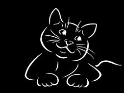 cat silhouette on black background