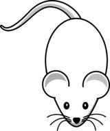 Mouse, black and white drawing