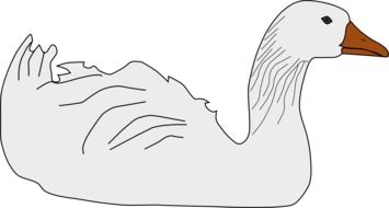 drawing of a white goose on a white background