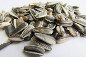 Lots of sunflower Seeds