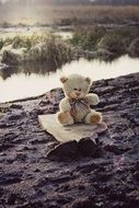 teddy bear on the board