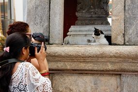 taking a photos of thai black and white cat