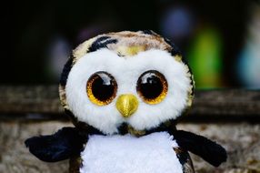 portrait of cute soft owl toy