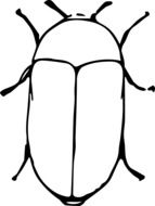 silhouette of beetle