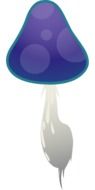 painted purple fly agaric