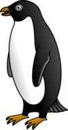 clipart of the cute penguin
