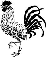 rooster as a graphic image