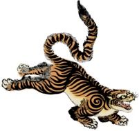 Sumatran tiger as a clipart